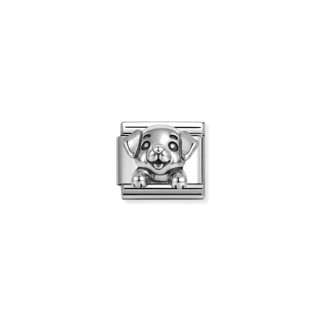 nomination-composable-silver-pies-330114-17